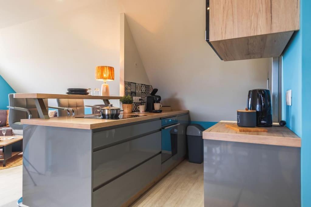 Apartment Nouveau - Le Patio - A 20 Min De Europa Park - Navette Rhinau